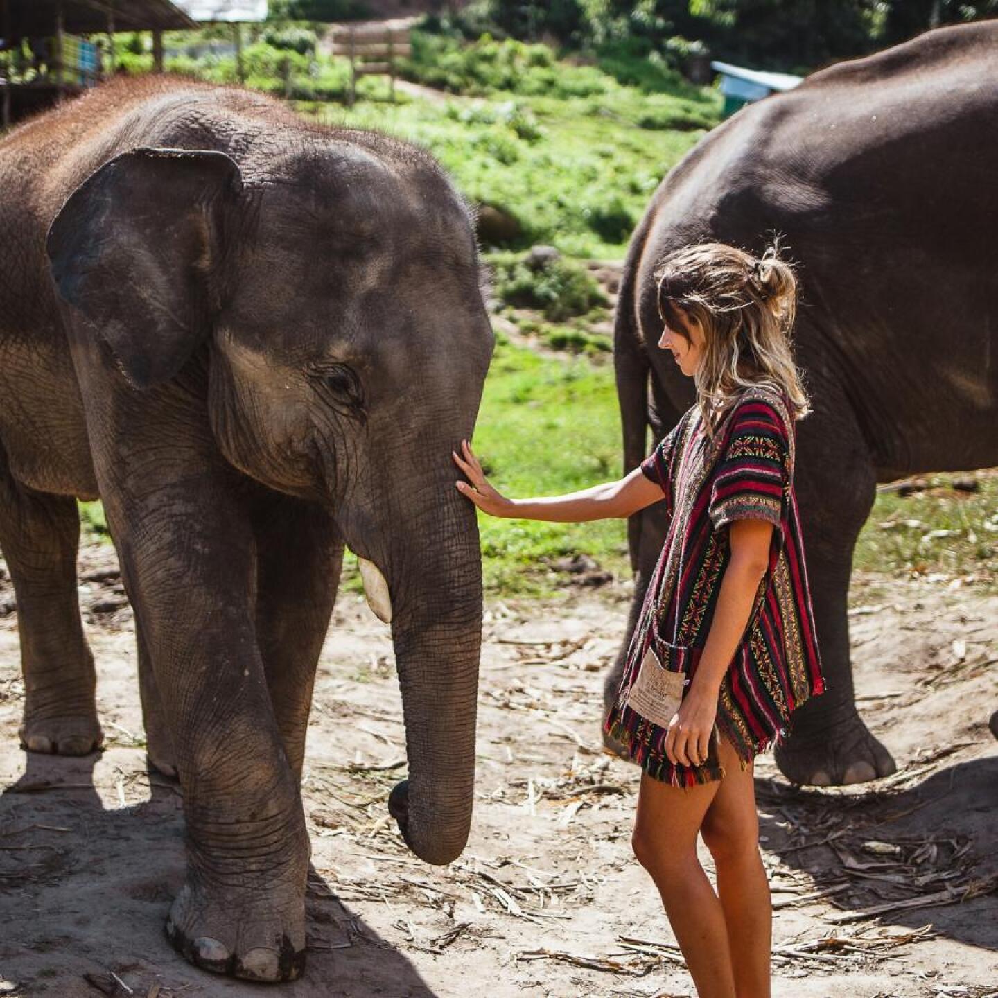 Un Viaje Hacia Santuarios Sostenibles para Elefantes en Tailandia