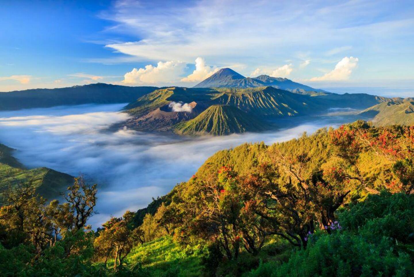 Bajo las Cenizas y el Cielo: Un Viaje a Través de la Majestuosidad Volcánica de Bromo Tengger Semeru